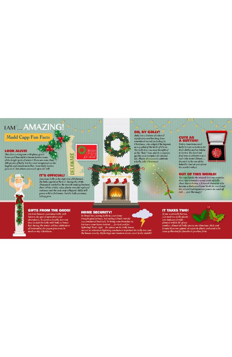 Madd Capp Holly 350 Piece Jigsaw Puzzle, Alternate, color, Multicolored