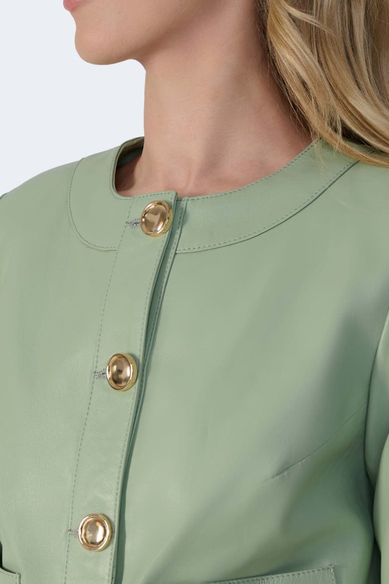 Margot Leather Jacket, Alternate, color, Light Green