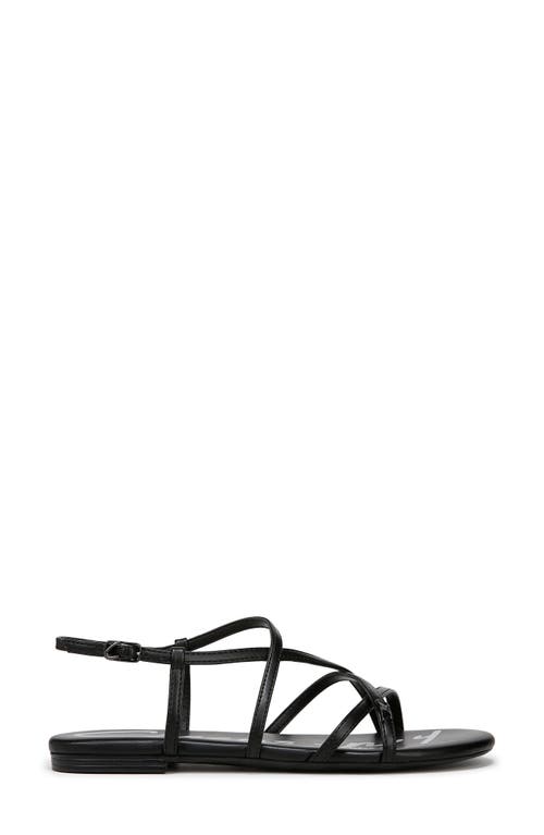 Circus Ny By Sam Edelman Rebecca Strappy Flat Sandals In Black