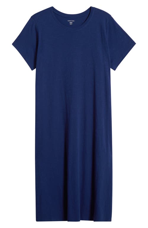 Eileen Fisher Organic Cotton Maxi Dress