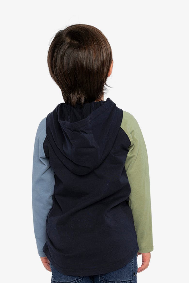 Raglan Hooded Cotton Graphic T-Shirt, Alternate, color, Dark Blue and Green