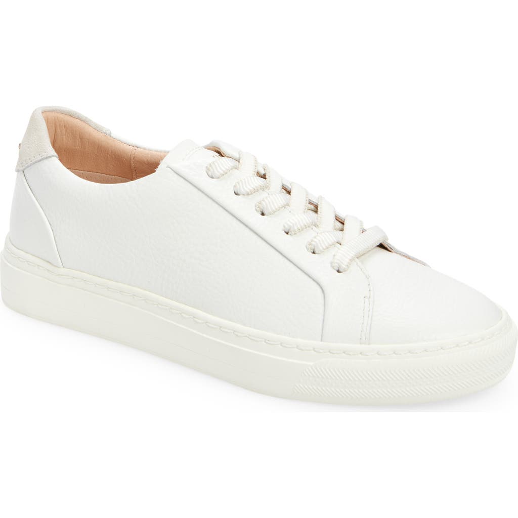 FRANKIE4 Mim IV Sneaker in White/Suede
