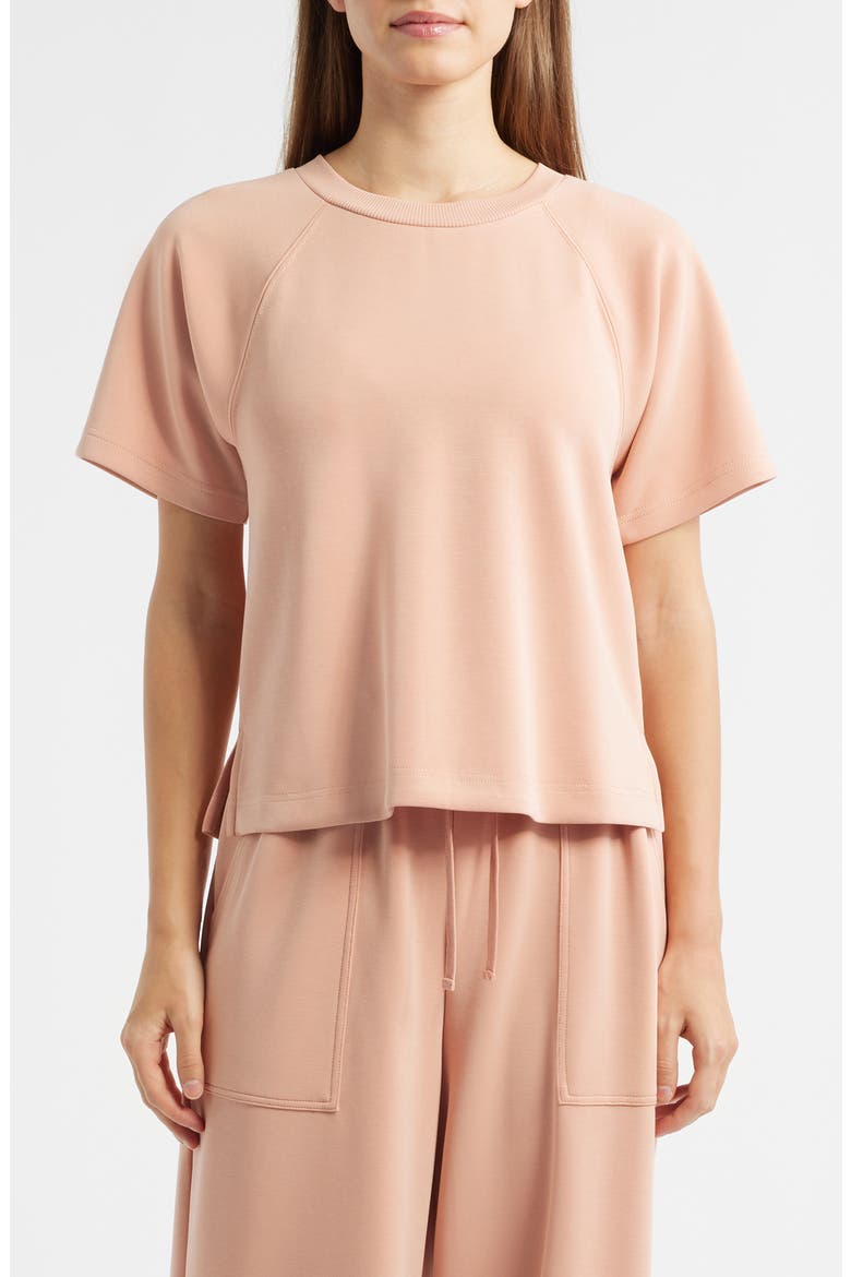 Raglan Sleeve T-Shirt, Main, color, CONCH