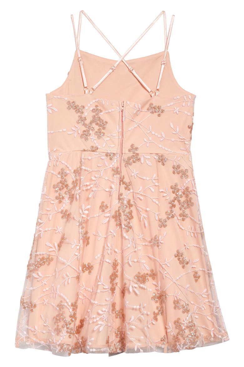 Kids' Embroidered Mesh Dress, Alternate, color, BLUSH