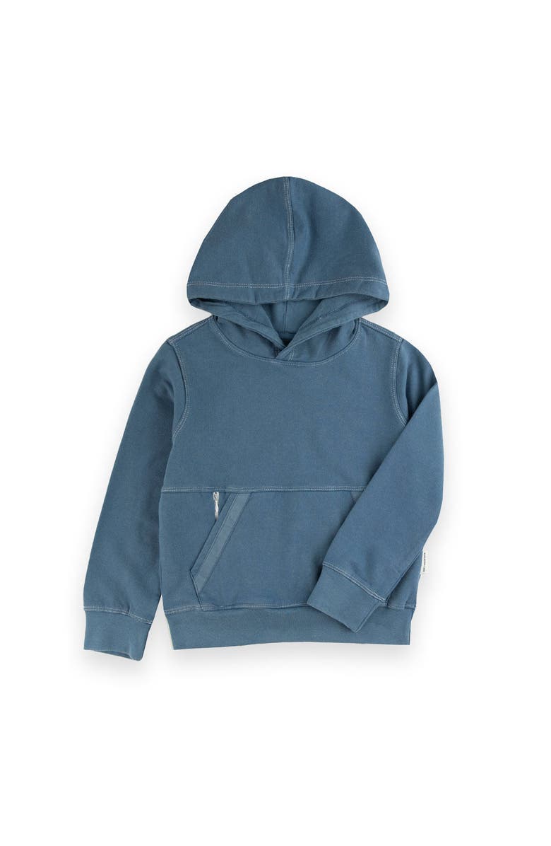 Sovereign Code Spider Hoodie, Main, color, Coronet Blue
