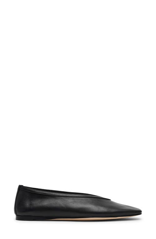Shop Steve Madden Leni Flat In Black Leather