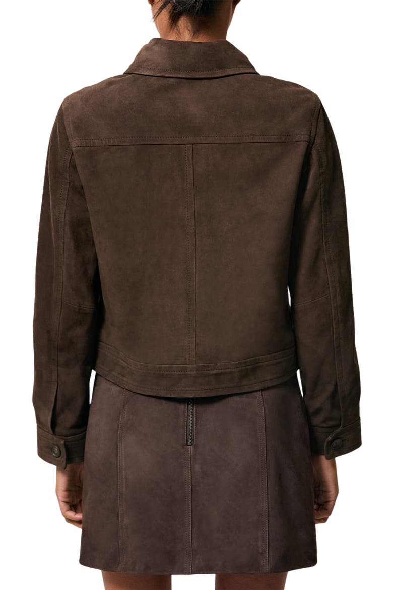 Hanson Suede Jacket, Alternate, color, CHOCOLATE BROWN
