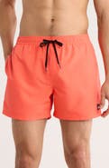 Quiksilver Everyday Volley 15-Inch Swim Trunks