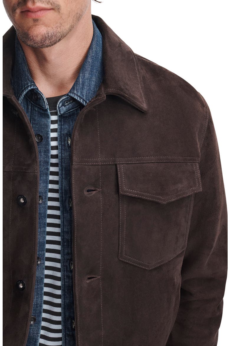 Suede Trucker Jacket, Alternate, color, BROWN