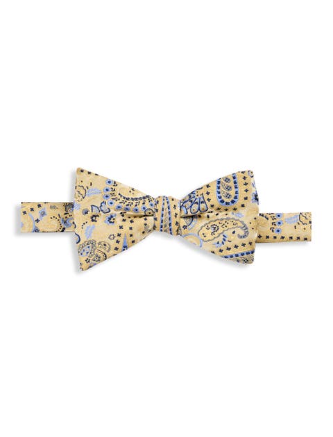 Big & Tall Springtime Paisley Bow Tie