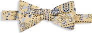 Synrgy by DXL Big & Tall Springtime Paisley Bow Tie