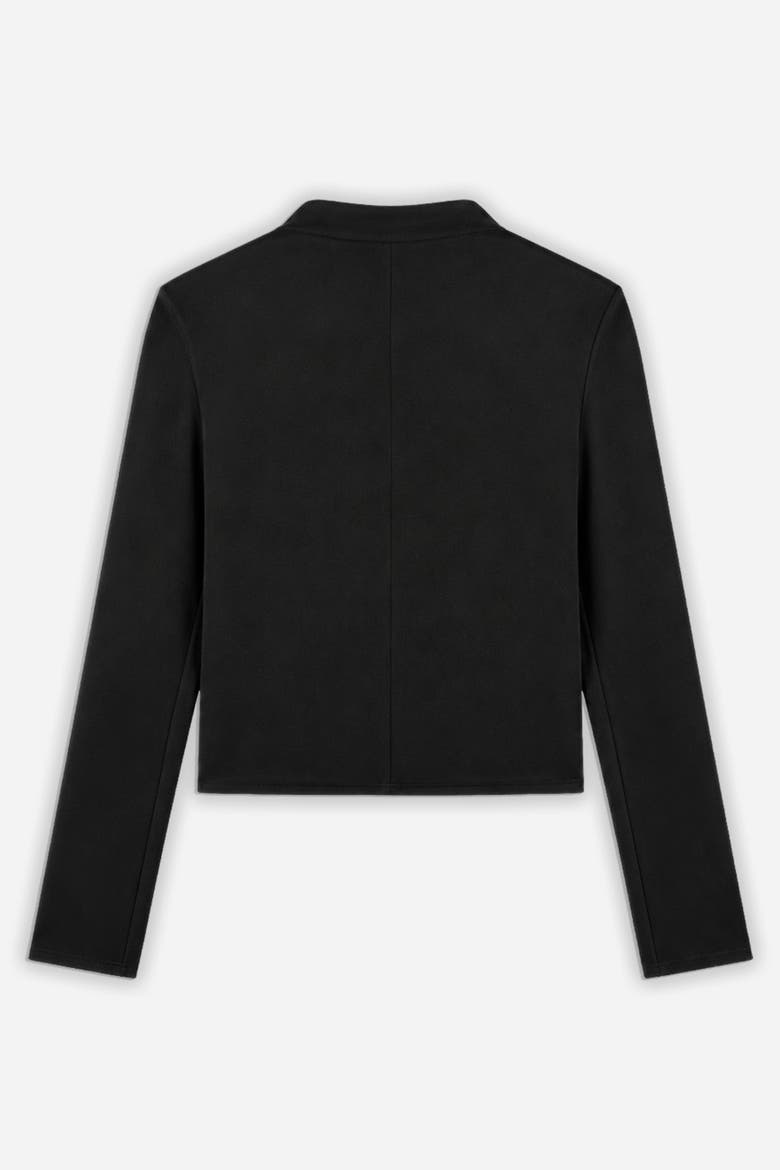 Ruffle Trim Zip Front Blouse, Alternate, color, Black