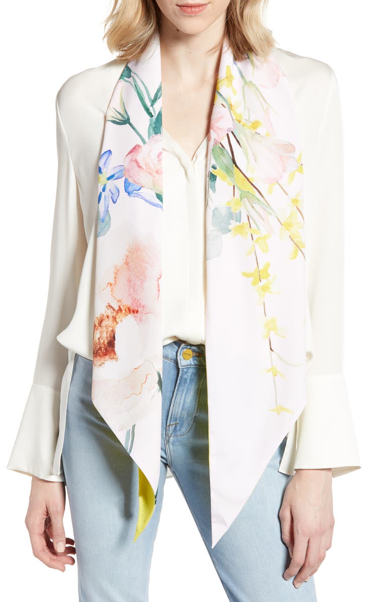 Ted Baker London Elegant Skinny Scarf, Main, color, 