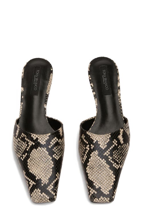 Tony Bianco Zubi Ecru Snake In Ecru Snake