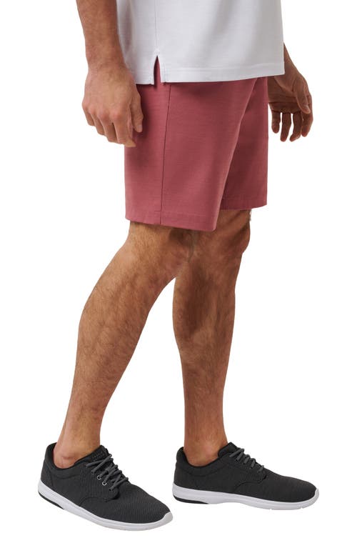 Travismathew Travel Year Flat Front Shorts In Heather Roan Rouge