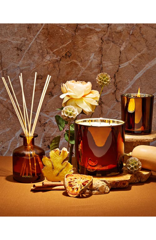 Apotheke Pumpkin Ginger Reed Diffuser In Gray