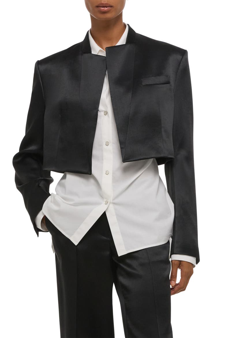 Crop Satin Blazer, Alternate, color, BLACK