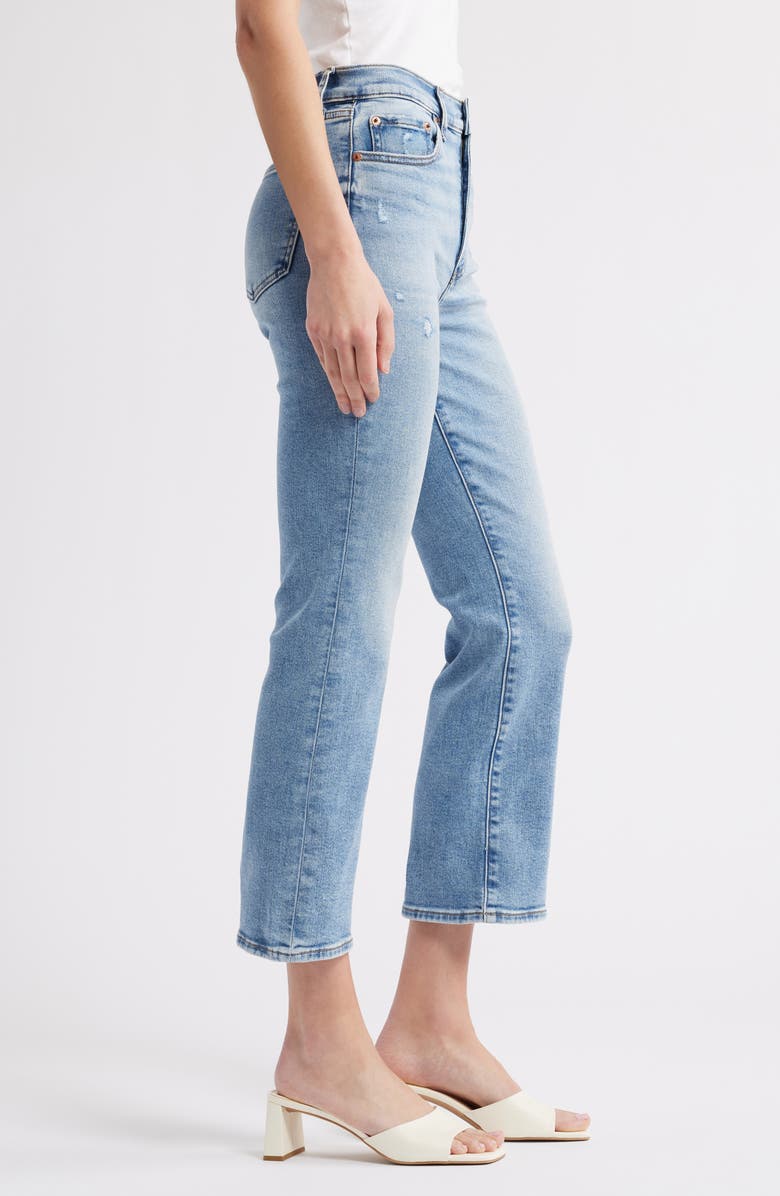 DAZE Shy Girl High Waist Crop Flare Jeans, Alternate, color, Pda