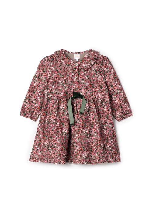 Flower Print Lace Cotton Dress for Girls - Long Puff Sleeves, Collared, Button Front, Shirttail Hem