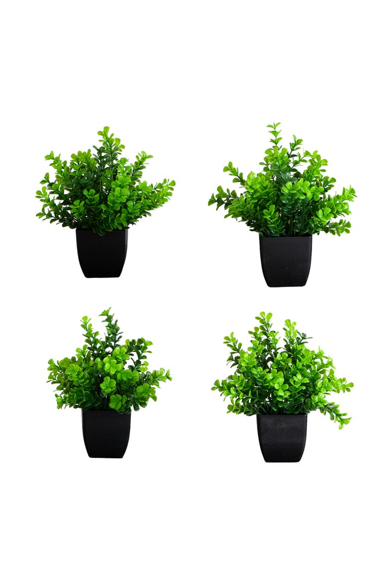 8-in Artificial Boxwood Plant in Black Square Pot - Set of 4, Main, color, Green