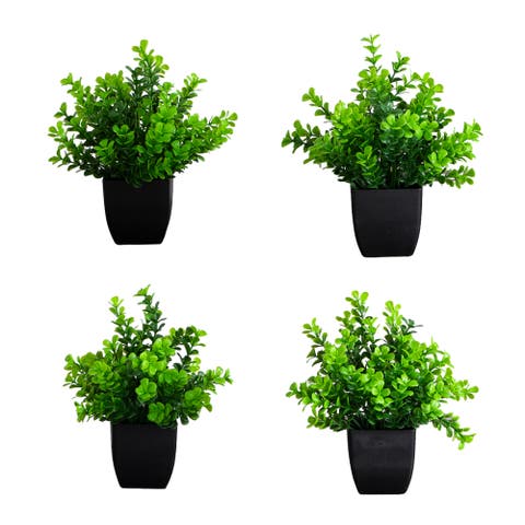 8-in Artificial Boxwood Plant in Black Square Pot - Set of 4