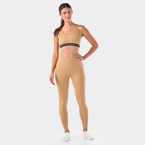 Tavi Seamless 7/8 Rib Legging In Brown