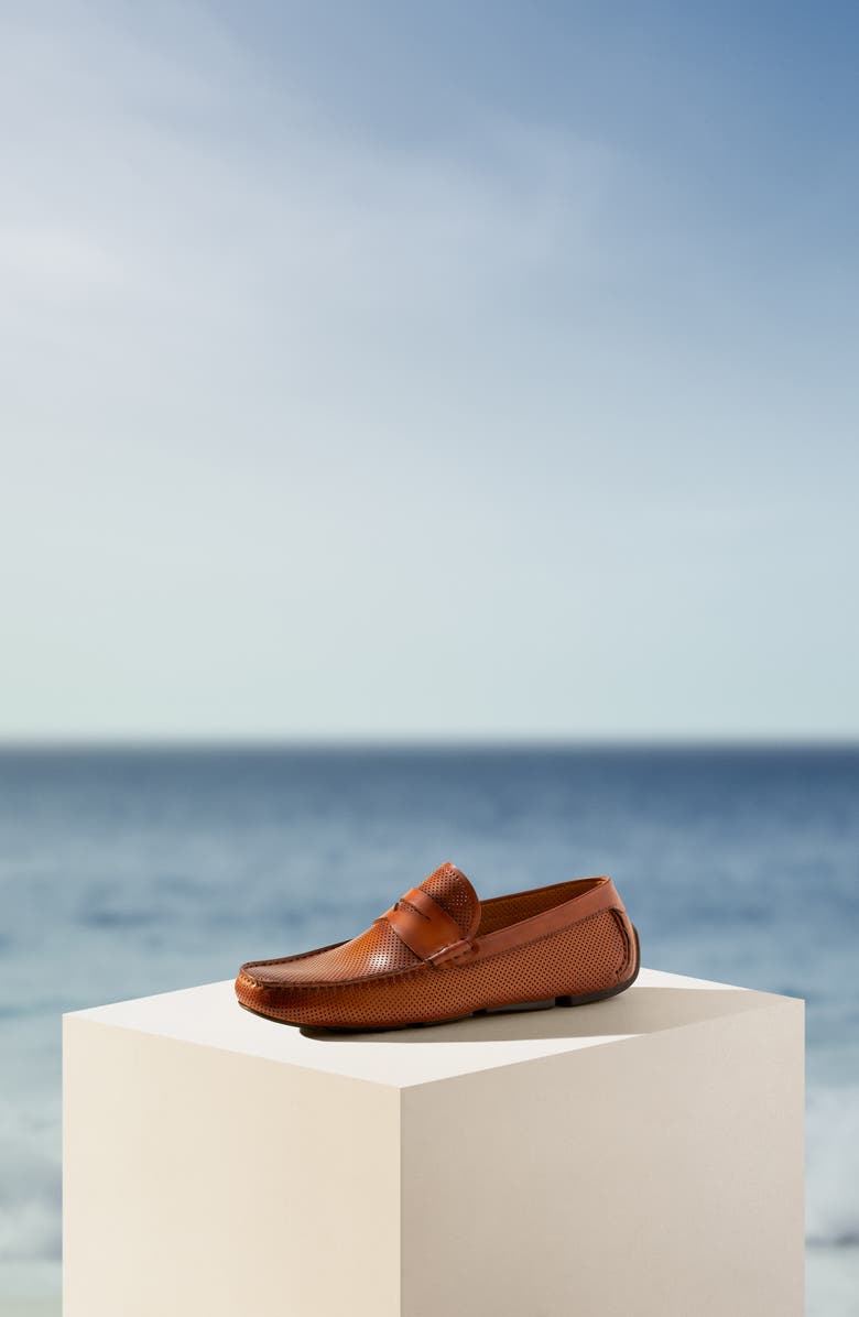 Magnanni Cole Perforated Loafer, Alternate, color,