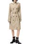 selected Saltmarsh Beige