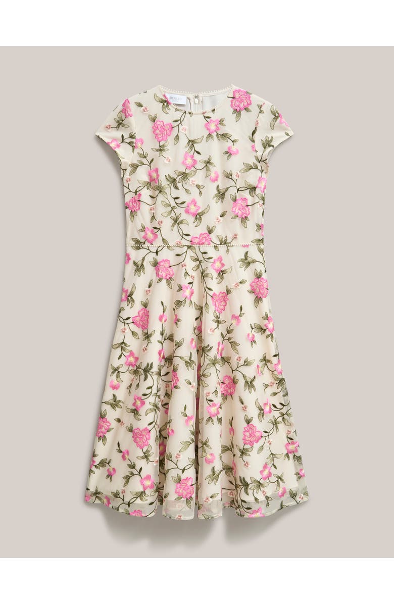 HOBBS LONDON Tia Embroidered Floral Midi Dress, Alternate, color, Cream Pink