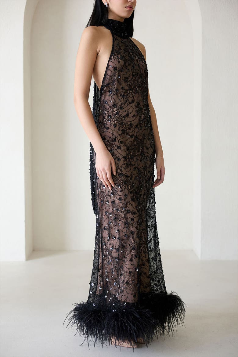 Maliya Shadow Lace Feather Dress, Alternate, color, Black Lace
