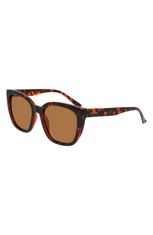 Cole Haan 55mm Cat Eye Sunglasses In Tortoise