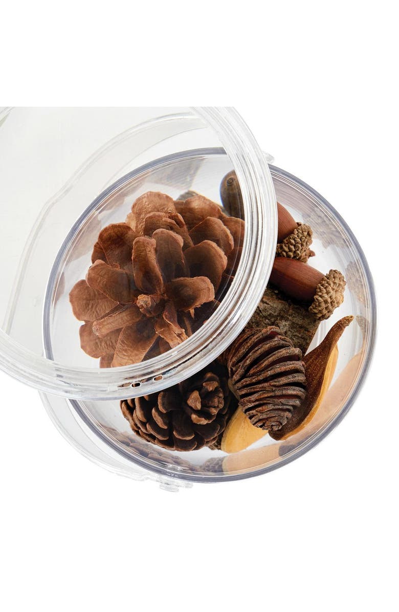 Kaplan Early Learning Company Carry and Discover Magnification Containers - Set of 2, Alternate, color, Clear