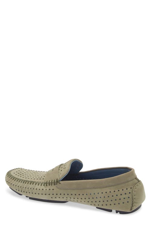 Robert Zur Flyer Perforated Driving Shoe In Khaki