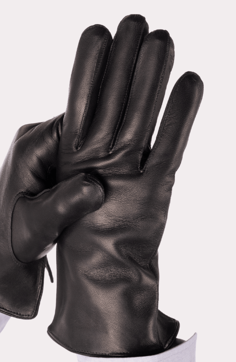 Seymoure Luxury Group Grant Cashmere Lined Leather Gloves, Alternate, color, Black