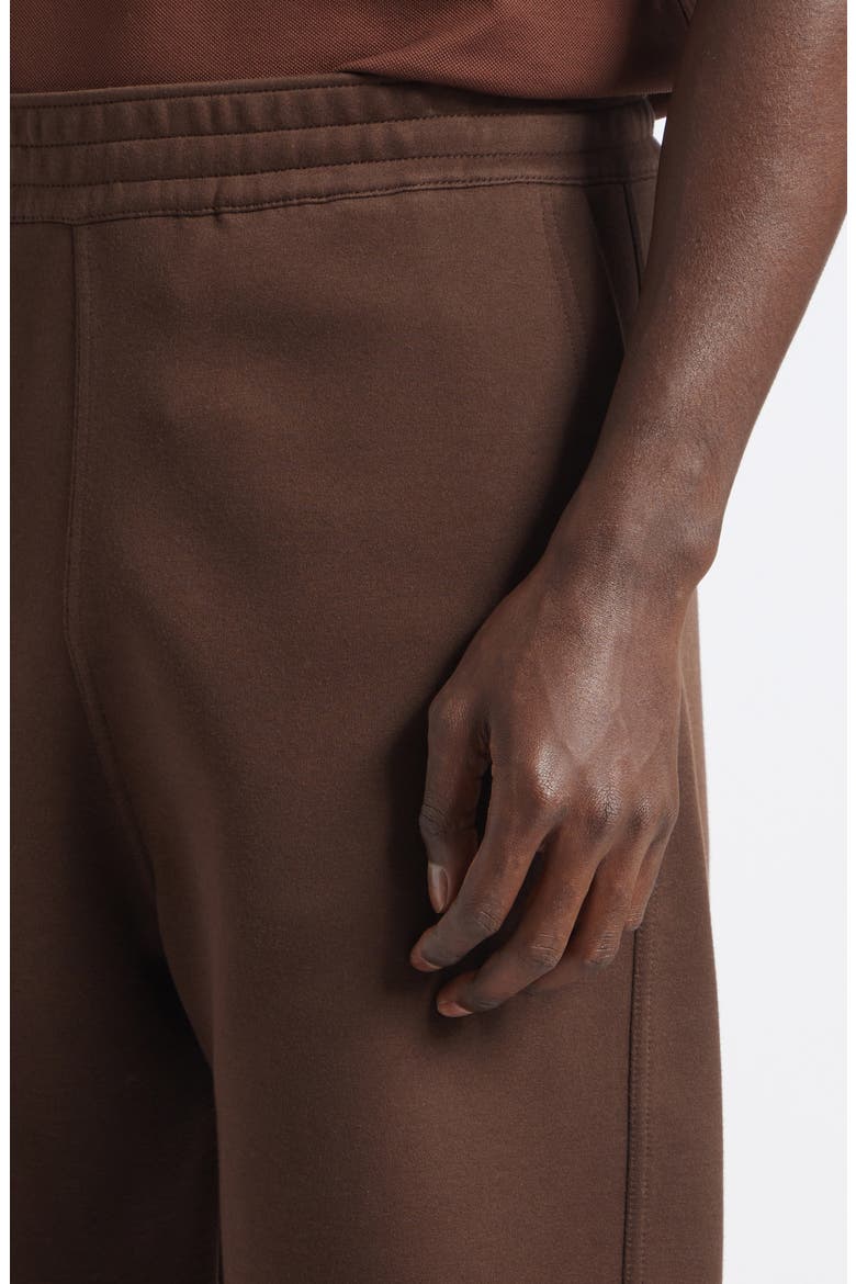 Couture Seam Joggers, Alternate, color, BROWN