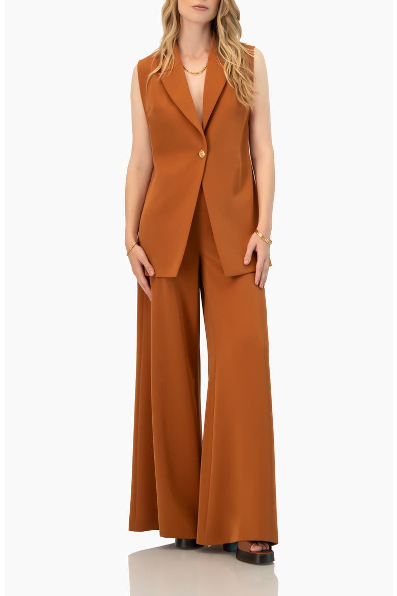 Single-button Tailored Vest, Alternate, color, Brown