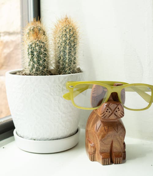 Matr Boomie Dog Eyeglass Holder Stand In Green