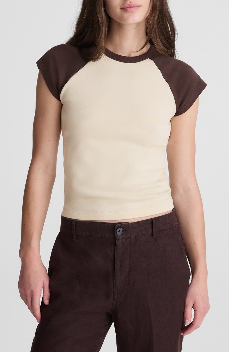 Madewell '90s Crewneck Raglan T-Shirt, Main, color, Colorblock