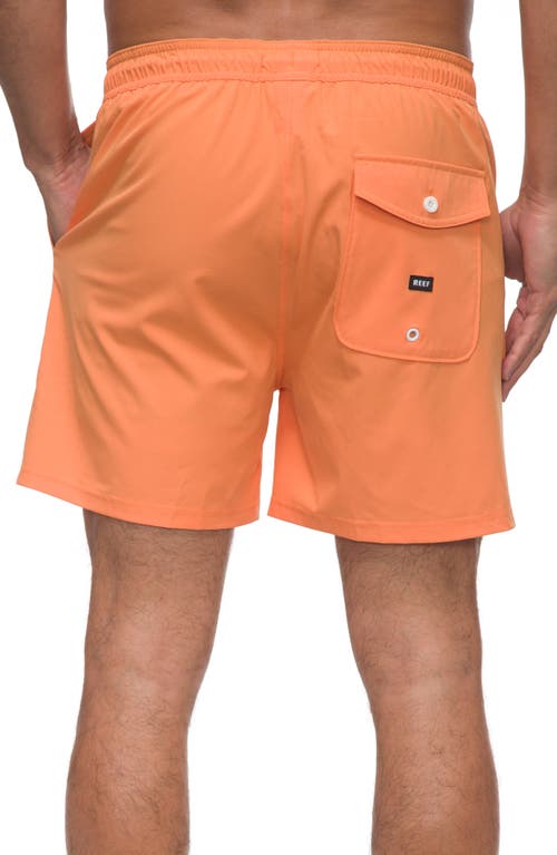 Reef Marzo Swim Trunks