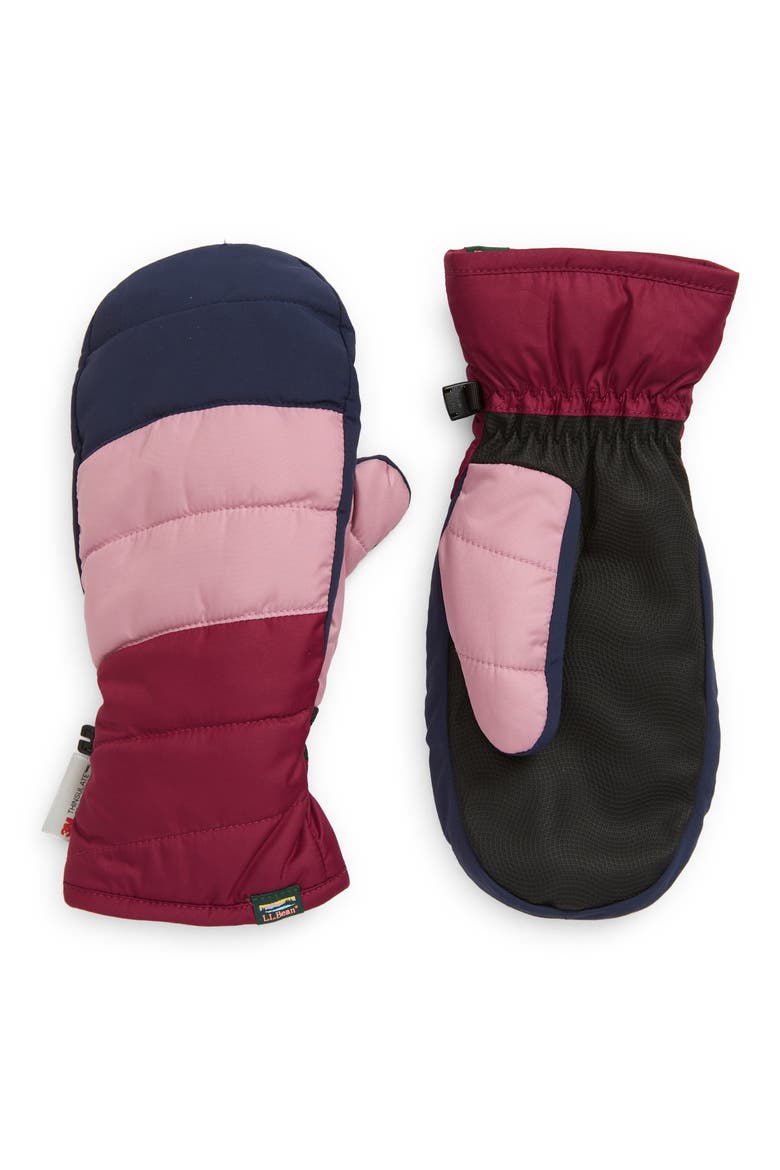Kids' Mountain Classic Mitten, Main, color, DARK MULBERRY