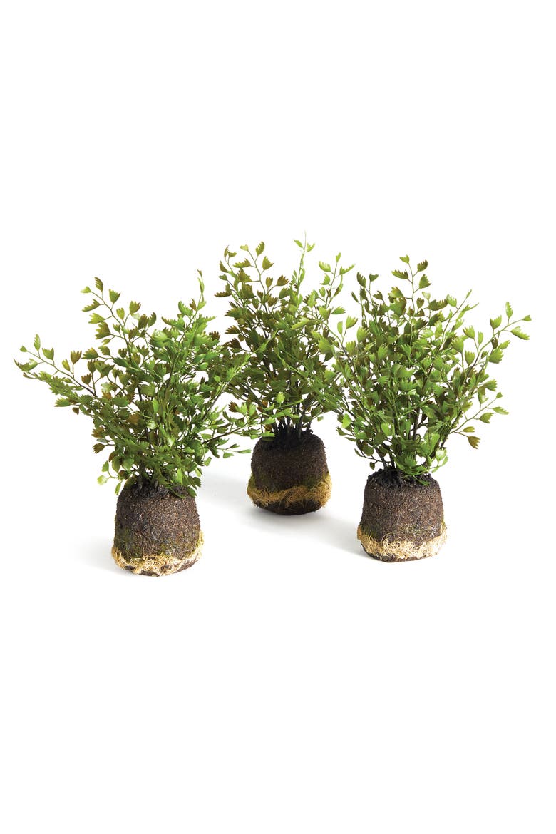 Maidenhair Drop-Ins Set of 3, Main, color, Green