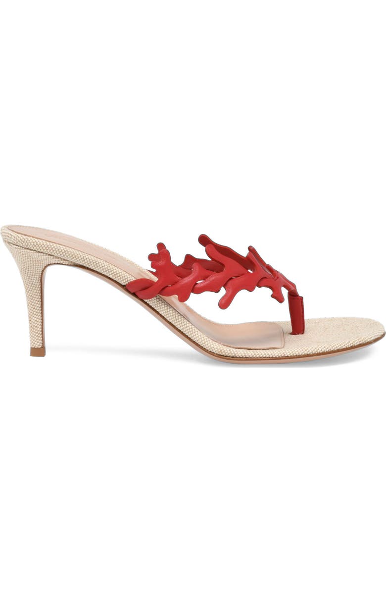 Gianvito Rossi Ocean Thong Sandal, Main, color, Red Nappa