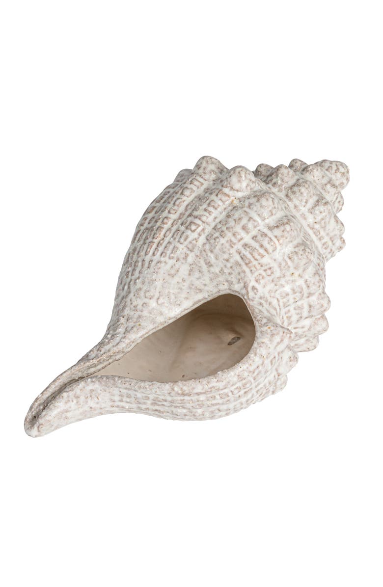 Storied Home Stoneware Conch Shell Accent Décor, Main, color, 