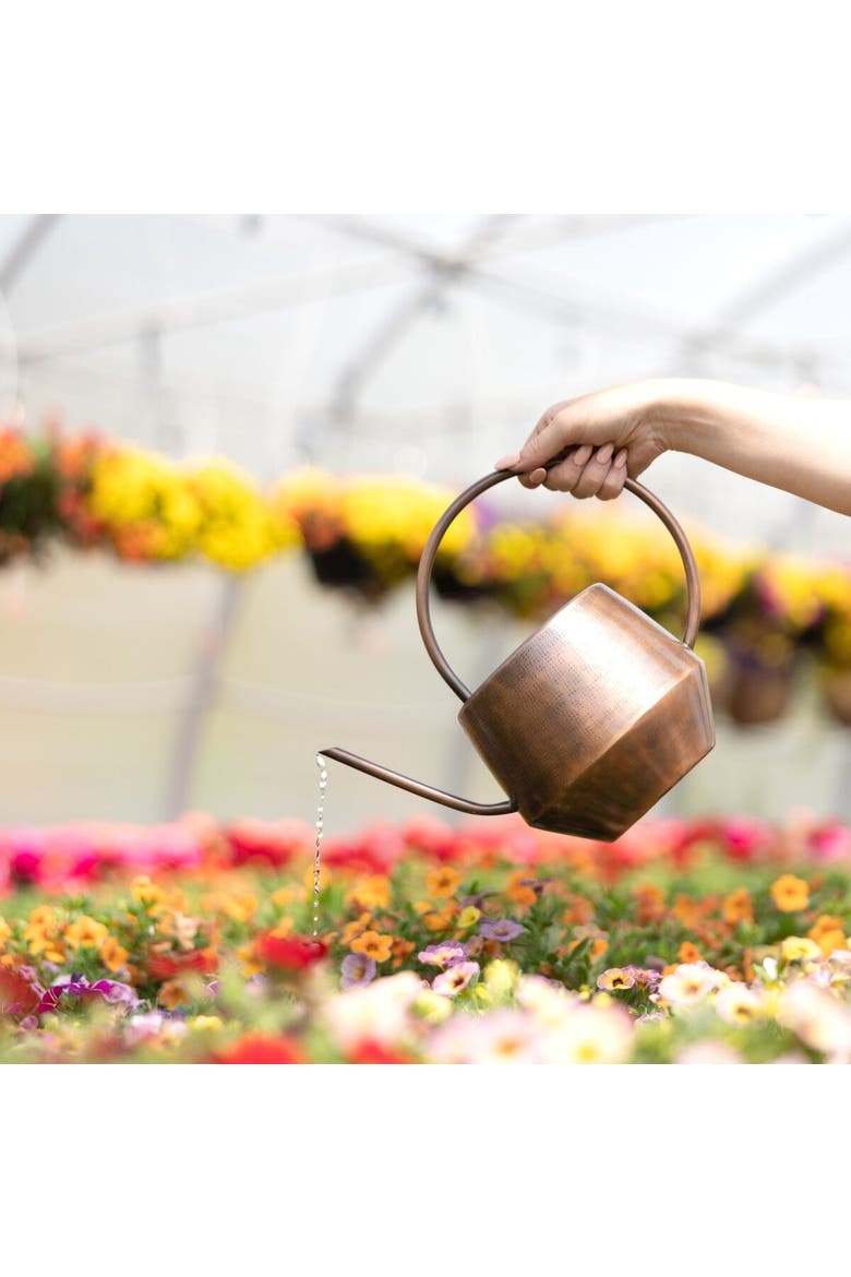 Antique Copper Watering Can, Alternate, color, Brown