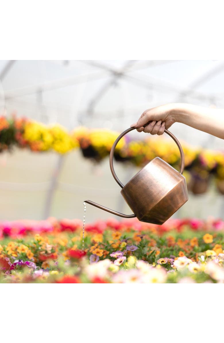 Ten Thousand Villages Antique Copper Watering Can, Alternate, color,