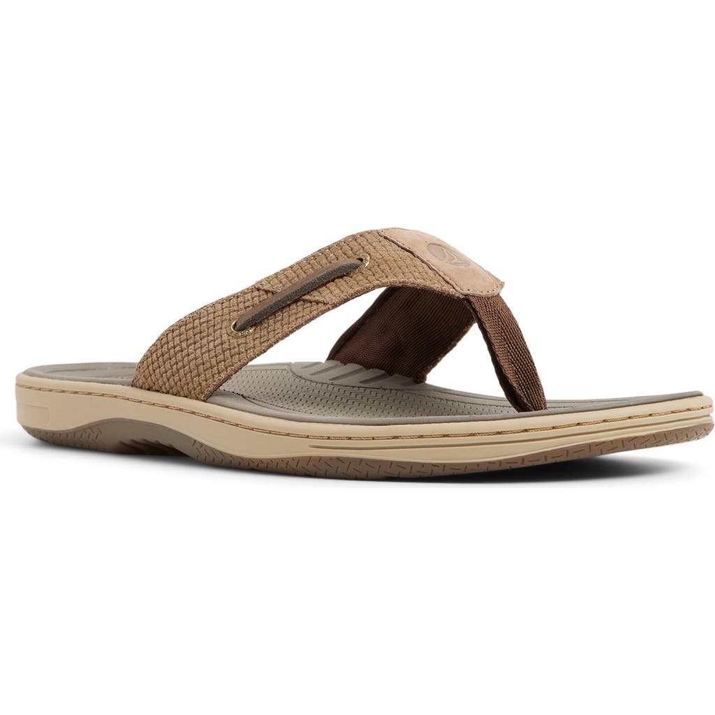 Sperry Baitfish Flip Flop in Taupe at Nordstrom, Size 8