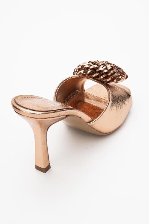 Prologue Shoes Shana Floral Stiletto Heel Mule