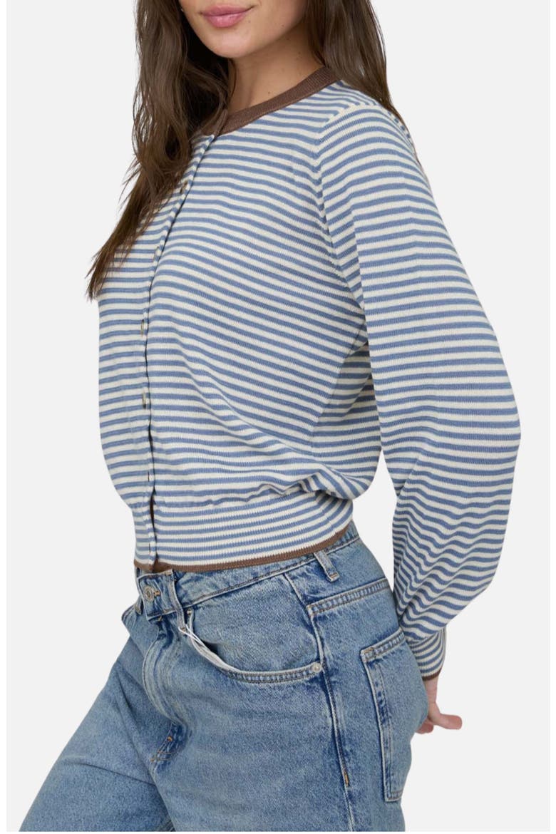 Stripe Crewneck Cardigan, Alternate, color, DUSTY BLUE