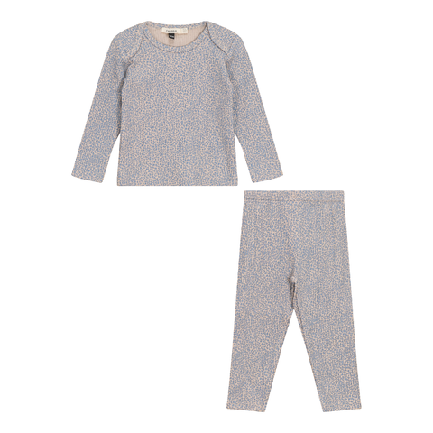 Leopard Print 2 Piece Long Sleeve Top and Pants Set