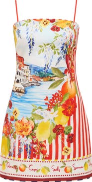 Ever New Sierra Printed Minidress